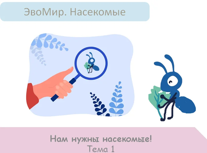 Предмет биология Насекомые